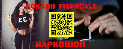 крисы Кулебаки