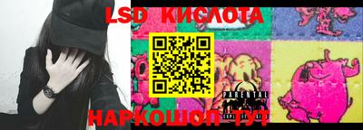 крисы Кулебаки