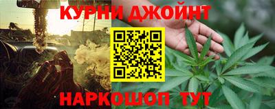 крисы Кулебаки