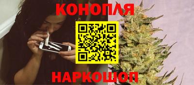 крисы Кулебаки