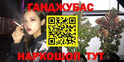 крисы Кулебаки