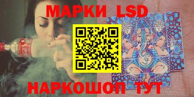 крисы Кулебаки